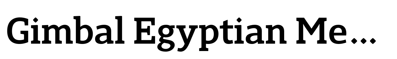 Gimbal Egyptian Medium
